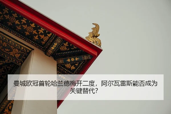 man-cheng-ou-guan-shou-lun-ha-lan-de-mei-kai-er-du-a-er-wa-lei-si-neng-fou-cheng-wei-guan-jian-ti-dai-2-631.jpg