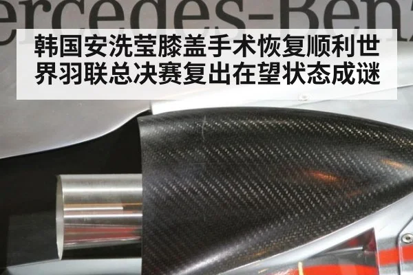 韩国安洗莹膝盖手术恢复顺利世界羽联总决赛复出在望状态成谜
